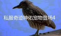 私服奇迹神佑宠物登场4月版本更新带来全新挑战