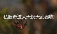 私服奇迹大天祝天武器收藏指南 你有几把