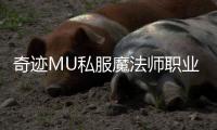 奇迹MU私服魔法师职业平衡性分析