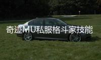 奇迹MU私服格斗家技能加点误区你中招了吗