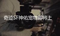 奇迹SF神佑宠物即将上线 三月版本新增玩法抢先曝光